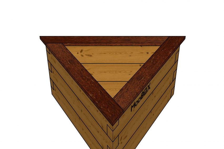 IMG_BEN_TRI_0850_cap_FGL_2