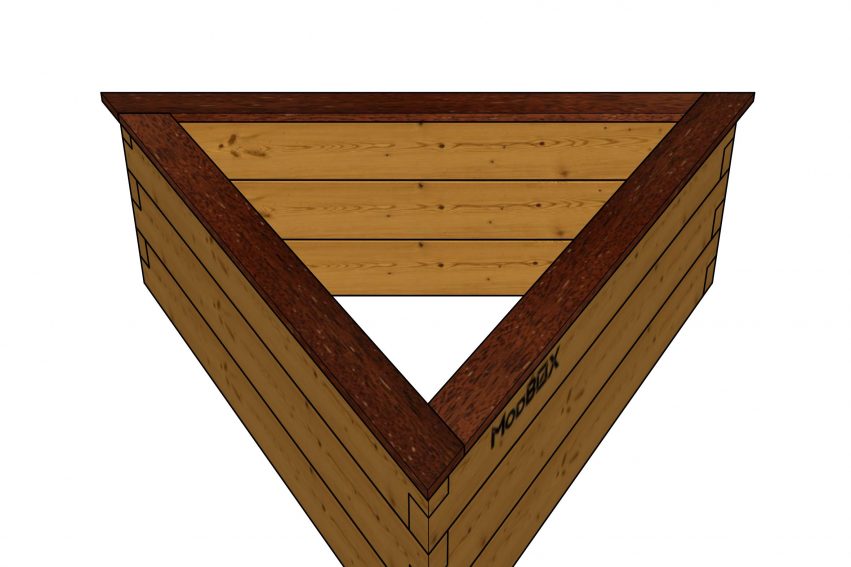 IMG_BEN_TRI_1250_cap_FGL_2