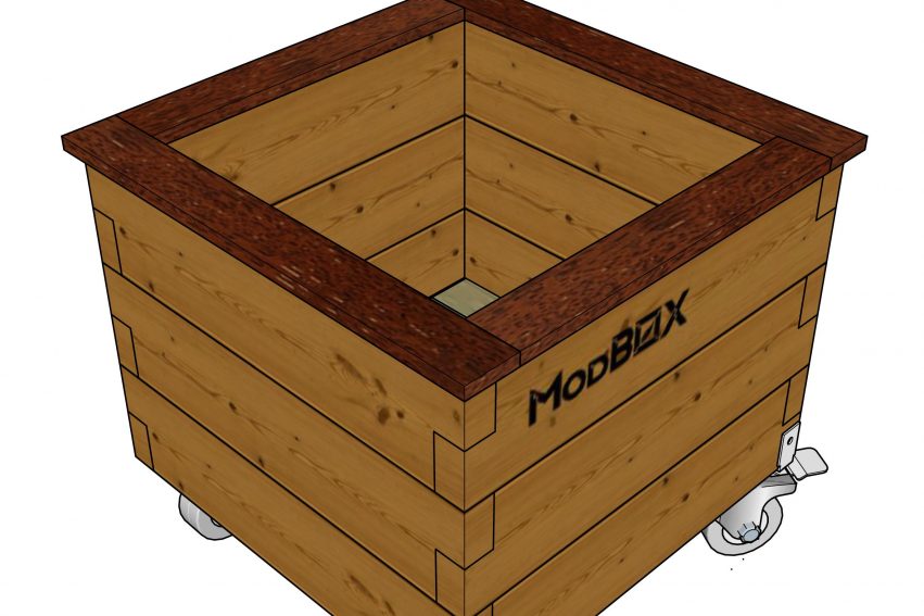 IMG_GAR_0600_0600_cap_FGL_2