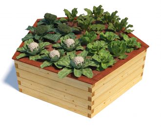 Benedetto Pentagon 1850mm