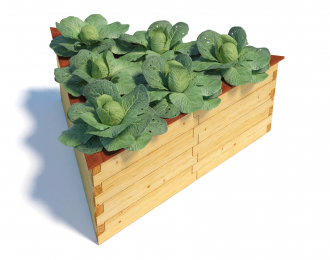 Benedetto Triangle 1650mm