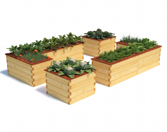 Multi Benedetto #220