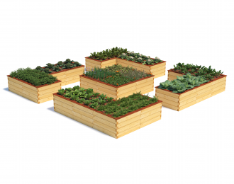 Multi Benedetto #410