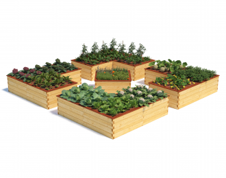 Multi Benedetto #420