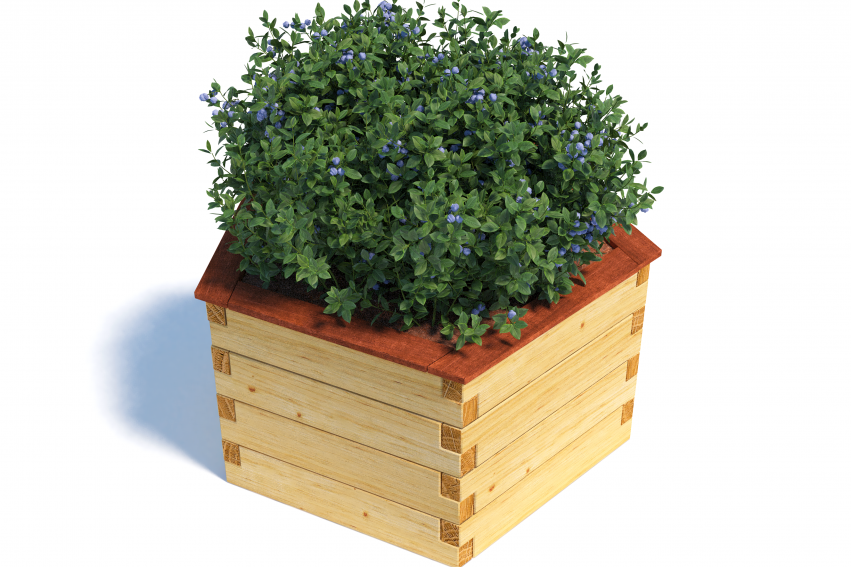 ben_pen_1050_0600_cap